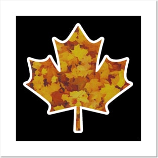 maple leaf autumn/fall season Posters and Art